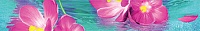 Бордюр  Ocean flowers B300D240 Бордюр 30х4,5