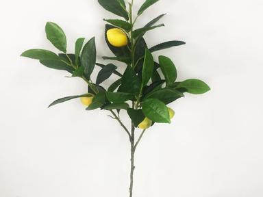 Ветка зелени "Лимон"