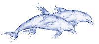 Декор   Deep Blue  дельфин  (DB2G051D) 20X44  Cersanit