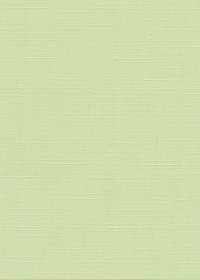 Рулонная штора "Дельфа" Лен салат 47(43)*160