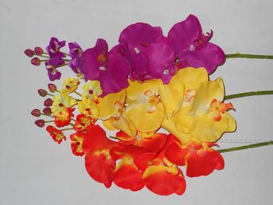 Ветка орхидеи ассорти