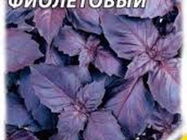 Базилик Фиолетевый 0.3г (Агроуспех)