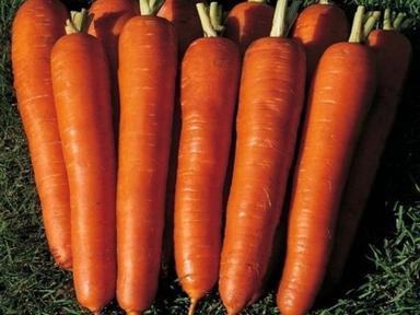 Морковь Витаминная 6 2г