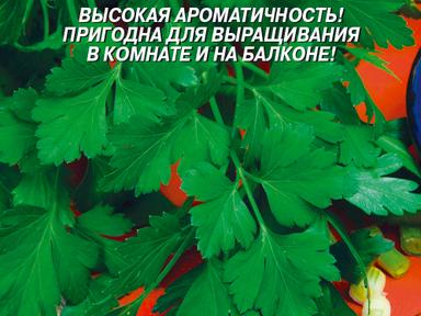 Петрушка Листовая обыкновенная 3г