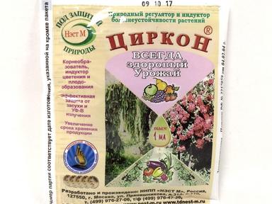 Циркон Циркон