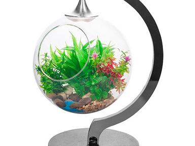 Фитосветильник настольный, светодиодный, стеклянный шар Ø200 мм,