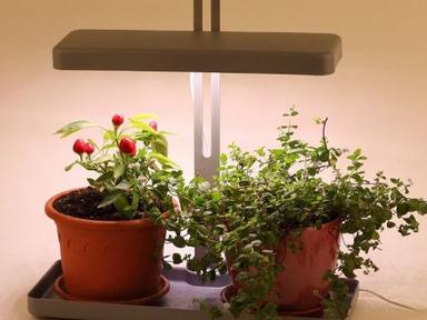 Светильник для растений