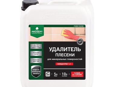Удалитель плесени 1:1-PROSEPT FUNGI CLEAN  5 л