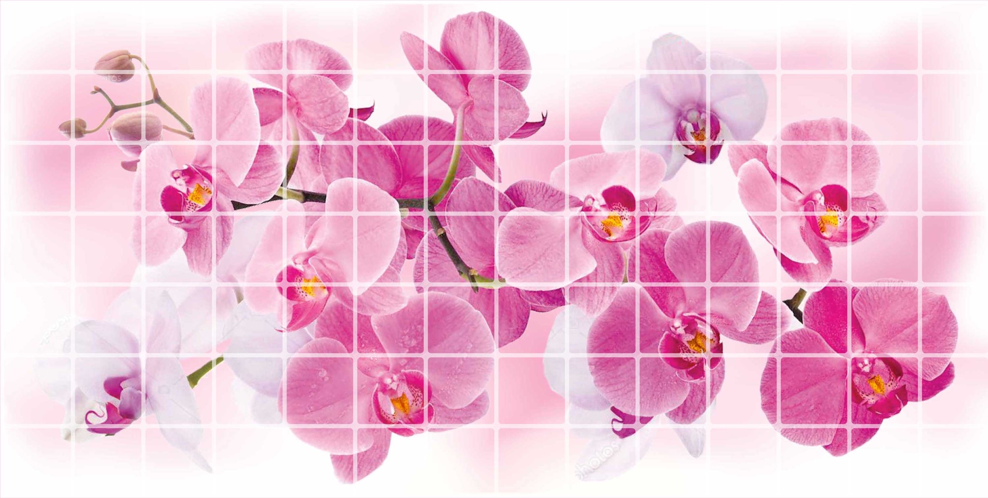 ПВХ панель Орхидея розея 955х480